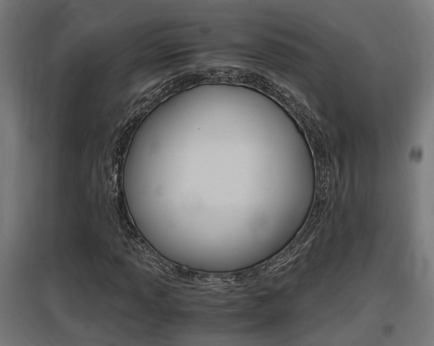X0000097661013200802290916