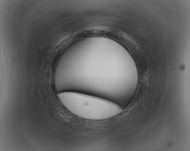 X0000097661014200802290916
