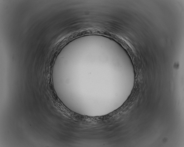 X0000097661015200802290916