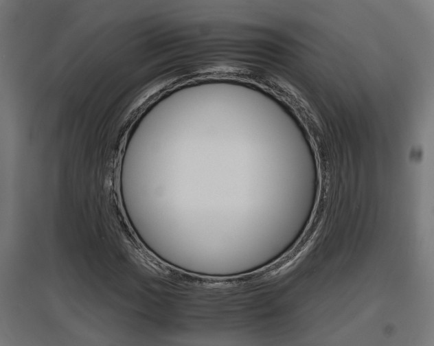X0000097661017200802290916