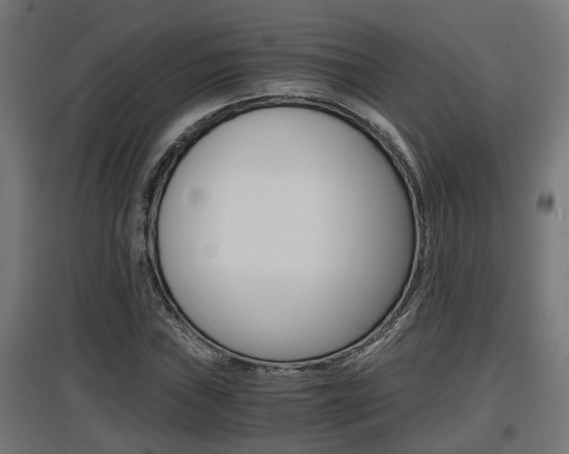 X0000097661019200802290916
