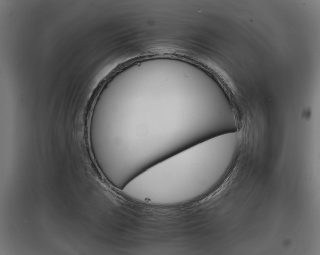 X0000097661023200802290916