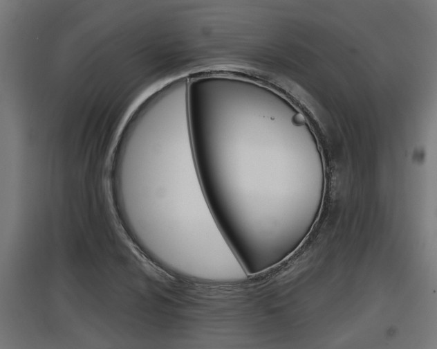 X0000097661024200802290916
