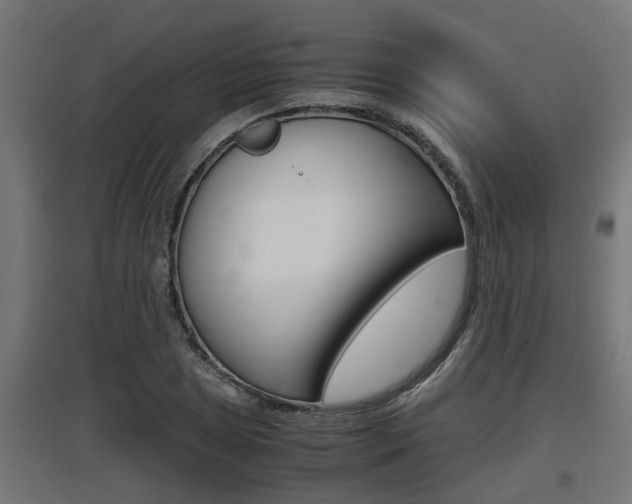 X0000097661025200802290916