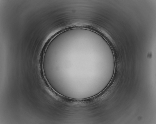 X0000097661026200802290916