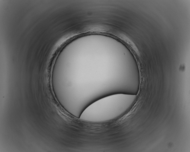 X0000097661027200802290916