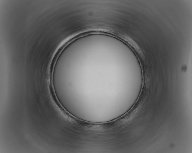 X0000097661028200802290916