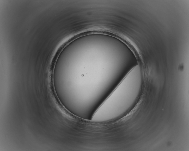 X0000097661029200802290917