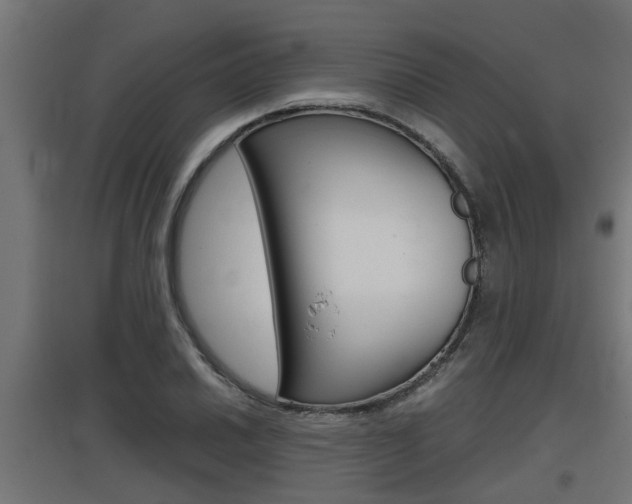 X0000097661030200802290917