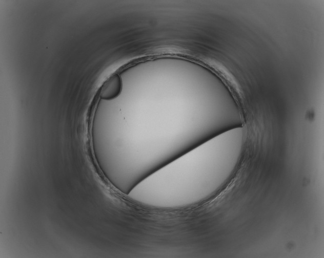 X0000097661031200802290917