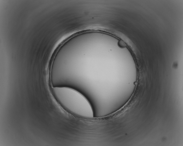 X0000097661032200802290917