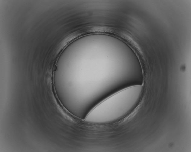 X0000097661033200802290917