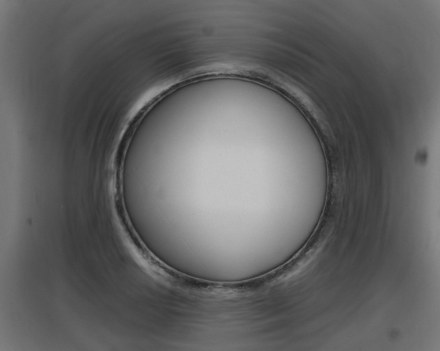X0000097661034200802290917