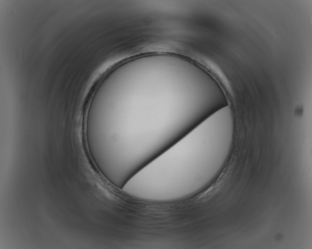 X0000097661035200802290917