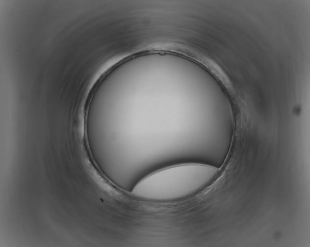 X0000097661036200802290917