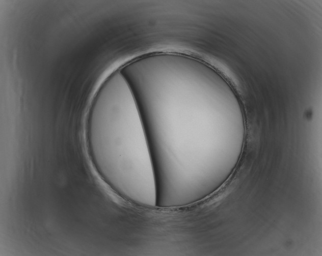 X0000097661040200802290917