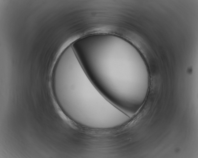 X0000097661042200802290917