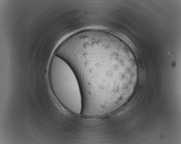 X0000097661044200802290917