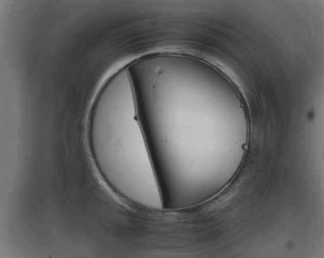 X0000097661045200802290917