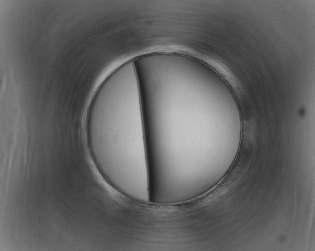X0000097661046200802290917