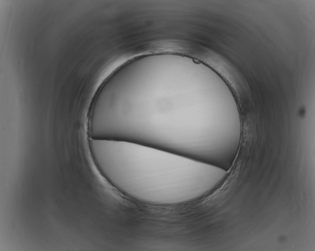 X0000097661047200802290917