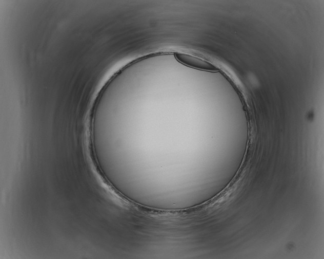 X0000097661048200802290917