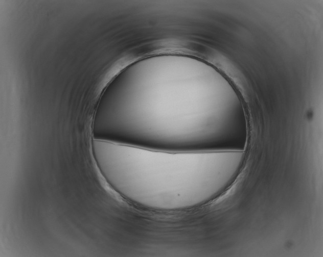 X0000097661049200802290917