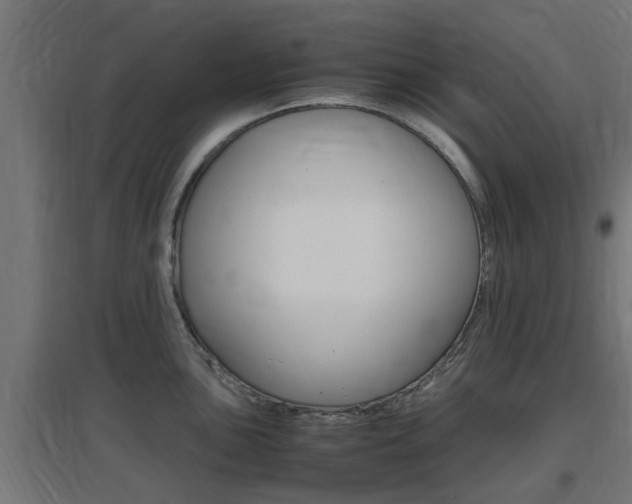 X0000097661051200802290917