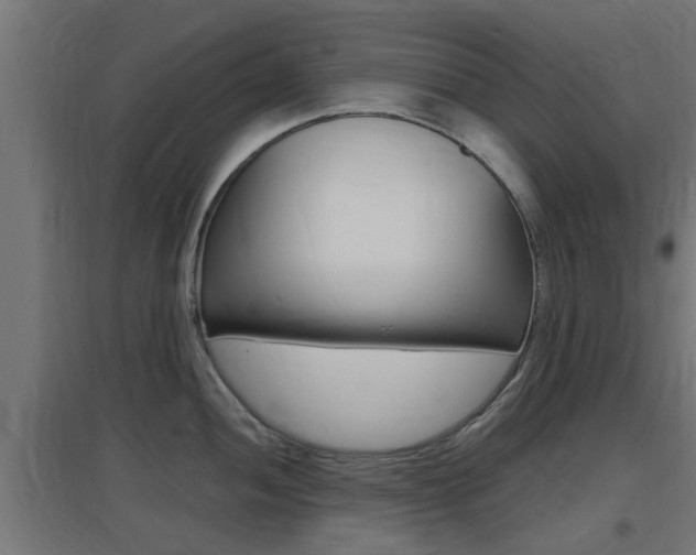 X0000097661052200802290917