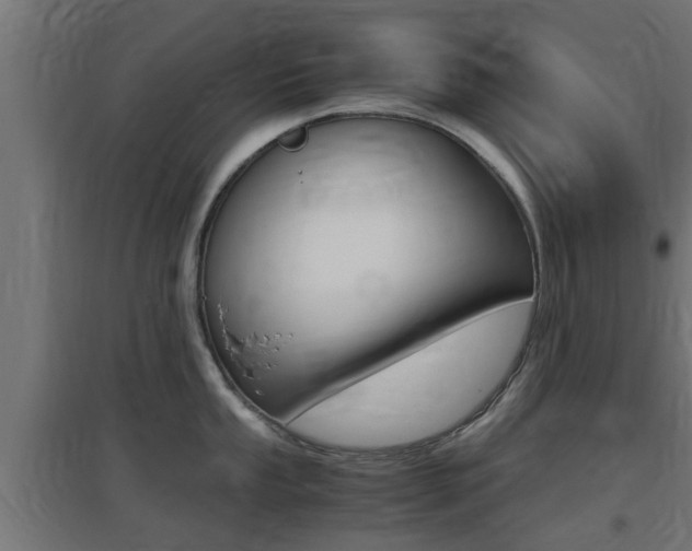 X0000097661053200802290917