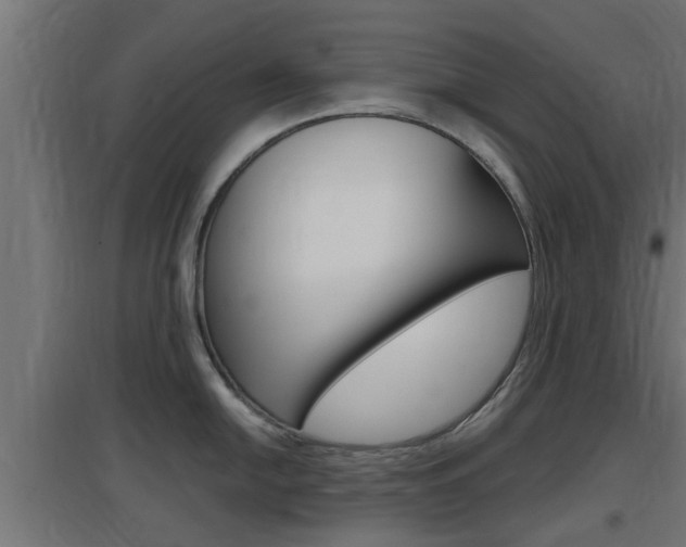 X0000097661054200802290917