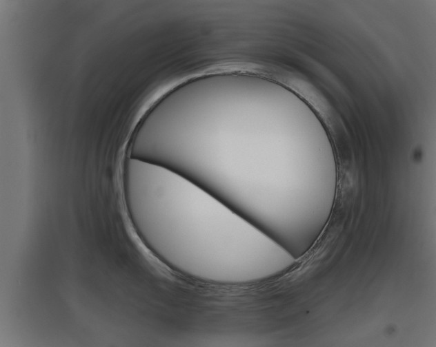 X0000097661055200802290917