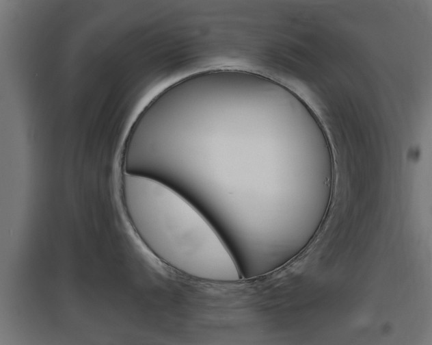 X0000097661056200802290917