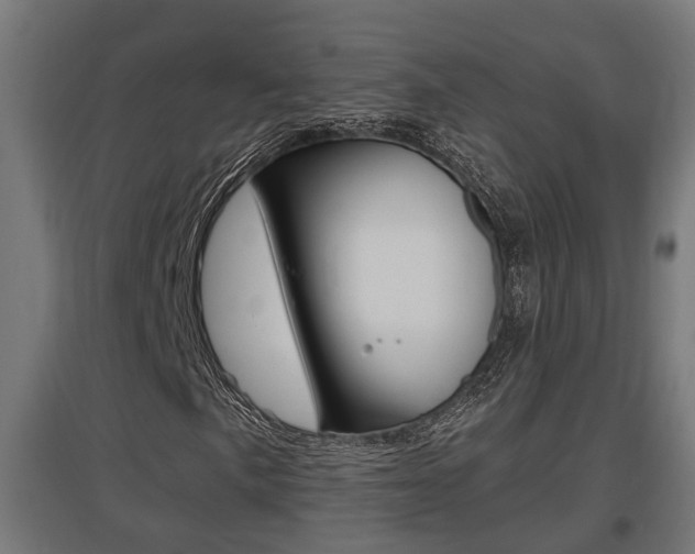 X0000097661057200802290916