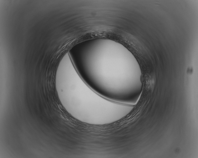 X0000097661060200802290916