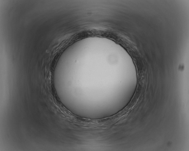 X0000097661061200802290916