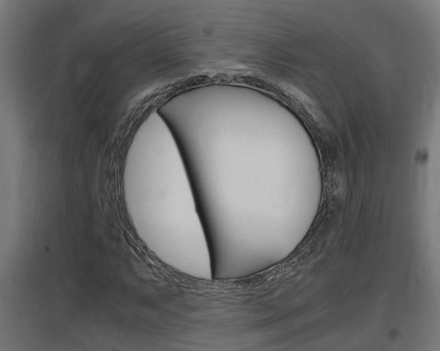 X0000097661063200802290916