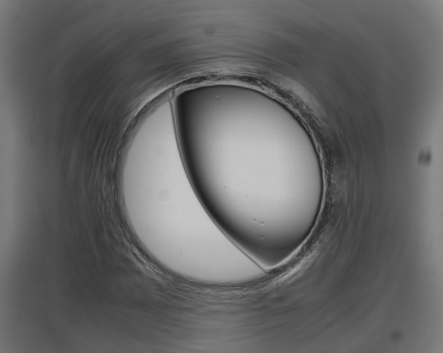 X0000097661065200802290916