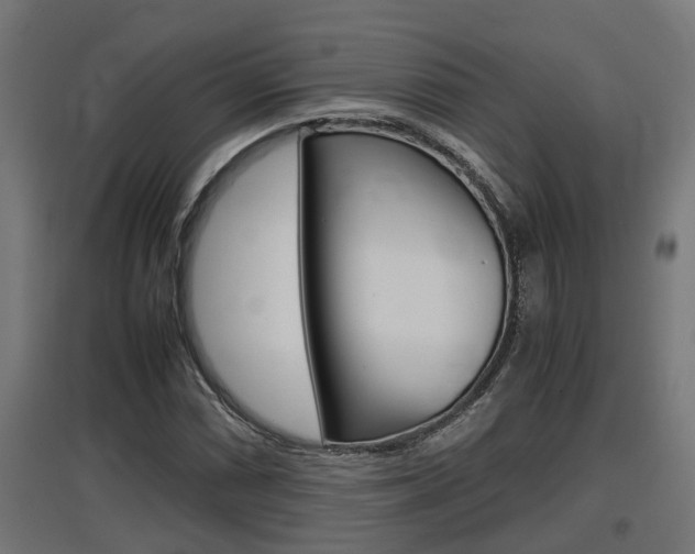 X0000097661066200802290916