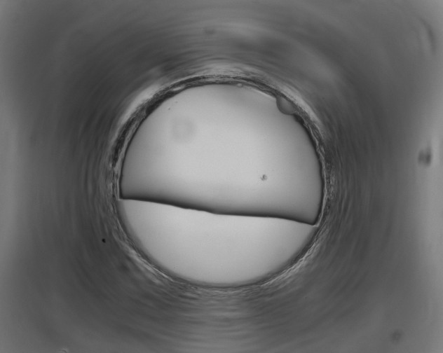 X0000097661067200802290916
