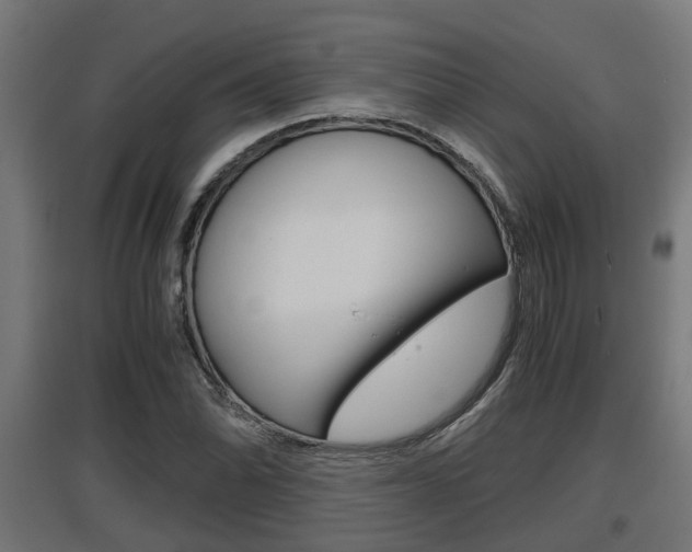 X0000097661070200802290916