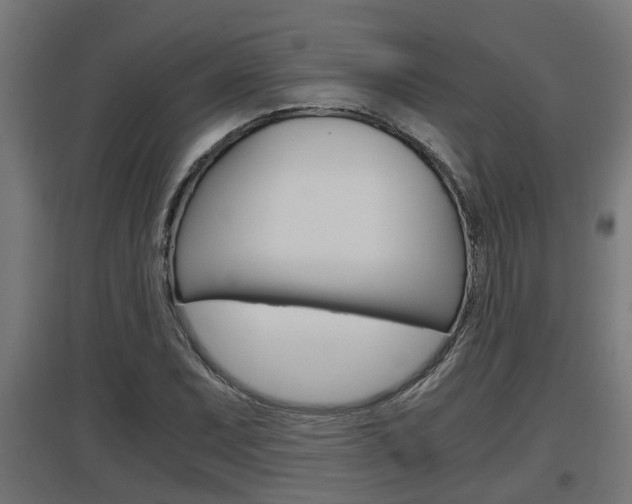 X0000097661071200802290916