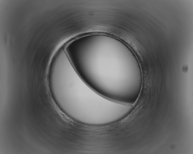 X0000097661072200802290916