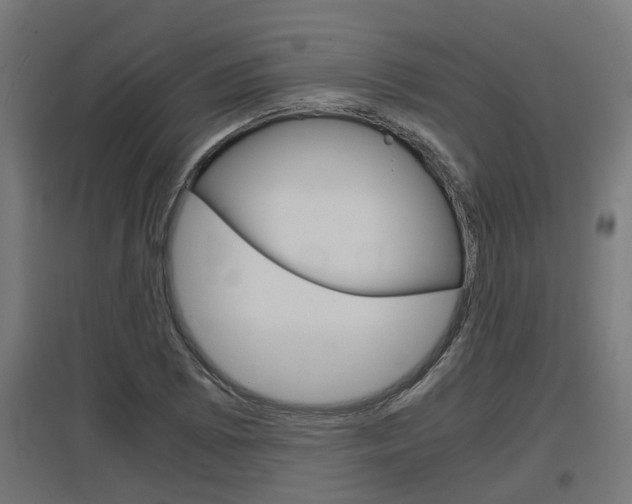 X0000097661073200802290916
