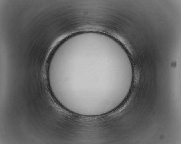 X0000097661074200802290916