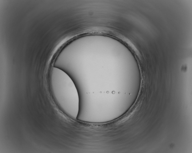 X0000097661075200802290916