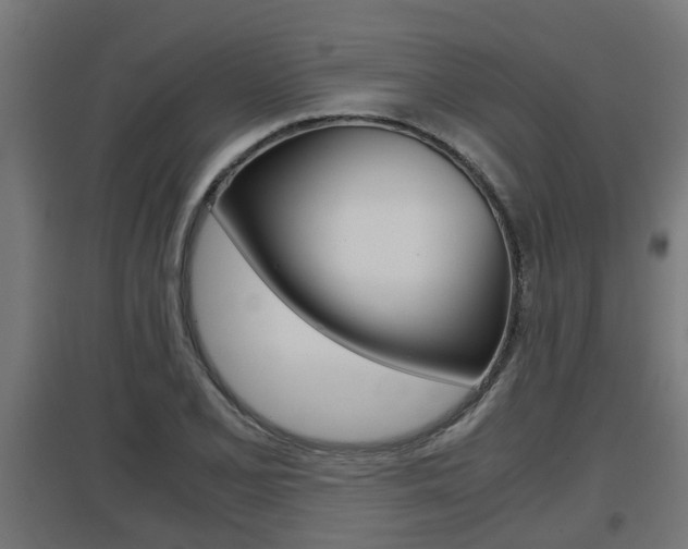 X0000097661077200802290916