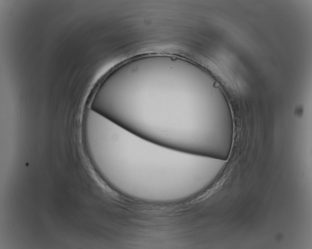 X0000097661079200802290916