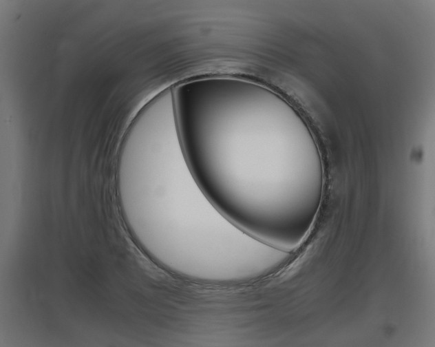 X0000097661081200802290916