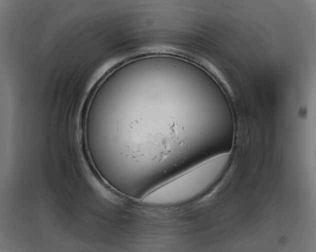 X0000097661082200802290916